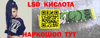гашик Можга