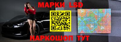 гашик Можга