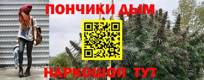 гашик Можга