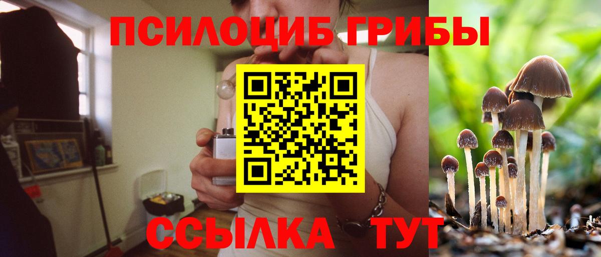 Галлюциногенные грибы Psilocybe Шарыпово